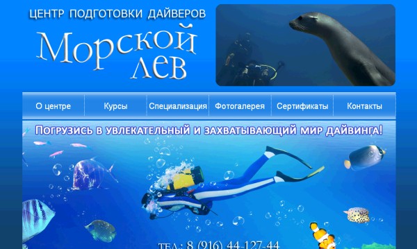   -    (2010 )